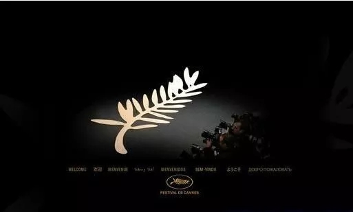 来71届戛纳电影节,感受真实的电影草民盛宴风筝电影图片